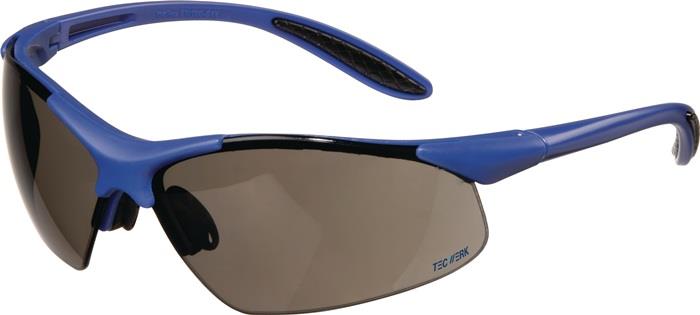 TECWERK 2000370081 Schutzbrille DAYLIGHT PREMIUM EN 166 Bügel dunkelblau,Scheibe
