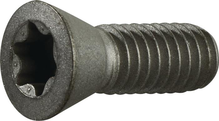 TECWERK 2000859266 Spannschraube Gr.T20 f.TCMT 16/SCMT 12 z.Fasenfräser TECWERK